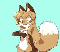 artist:fiddleafox brown_fur character:averi_(fiddleafox) dipstick_tail ears female gloves_(marking) socks_(marking) species:canine species:fox species:mammal tail white_fur // 1158x1008 // 76KB