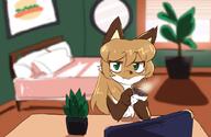 artist:fiddleafox bedroom beverage brown_fur character:averi_(fiddleafox) computer desk detailed_background dipstick_tail ears female flower gloves_(marking) room socks_(marking) species:canine species:fox species:mammal tail white_fur // 1032x672 // 73KB