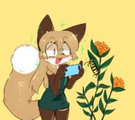 artist:fiddleafox brown_fur character:averi_(fiddleafox) dipstick_tail ears female flowers gloves_(marking) phone socks_(marking) species:canine species:fox species:mammal tail white_fur // 820x729 // 319KB