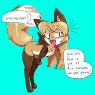 artist:fiddleafox brown_fur character:averi_(fiddleafox) dipstick_tail ears female gloves_(marking) socks_(marking) species:canine species:fox species:mammal tail white_fur // 1275x1280 // 168KB