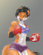 abs artist:moony-moo belly biceps black_hair boxing_gloves bra brown_eyes character:rosaline_(bronx23) copyright:nike dipstick_tail ears female fur gloves gloves_(marking) looking_away muscular orange_fur short_hair short_shorts shorts simple_background smiling solo species:canine species:fox species:mammal sports_bra tail white_fur // 900x1162 // 694KB