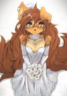 apogee brown_hair brunette dress droopy_ears ears female floppy_ears flowers marriage simple_background species:canine species:dog species:domestic species:mammal tinygaypirate_(artist) wedding white_background white_clothing wife // 1949x2767 // 395KB