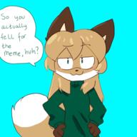 artist:fiddleafox brown_fur character:averi_(fiddleafox) dipstick_tail ears female gloves_(marking) green_sweater smug socks_(marking) species:canine species:fox species:mammal tail white_fur // 427x427 // 75KB