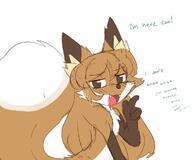 artist:fiddleafox brown_fur character:averi_(fiddleafox) dipstick_tail ears female gloves_(marking) socks_(marking) species:canine species:fox species:mammal tail white_fur // 1189x991 // 69KB