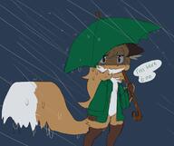 artist:fiddleafox brown_fur character:averi_(fiddleafox) dipstick_tail ears female gloves_(marking) rain socks_(marking) species:canine species:fox species:mammal tail wet_fur white_fur // 1192x997 // 83KB