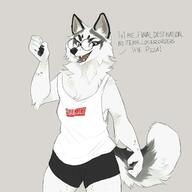 blue_eyes closed_hands clothing ears female glasses grey_background logo looking_at_viewer meta:low_res meta:unknown_artist open_mouth shirt shorts species:canine species:dog species:domestic species:mammal super_nintendo tail text text_in_shirt // 736x736 // 52KB